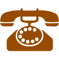 a brown and white phone