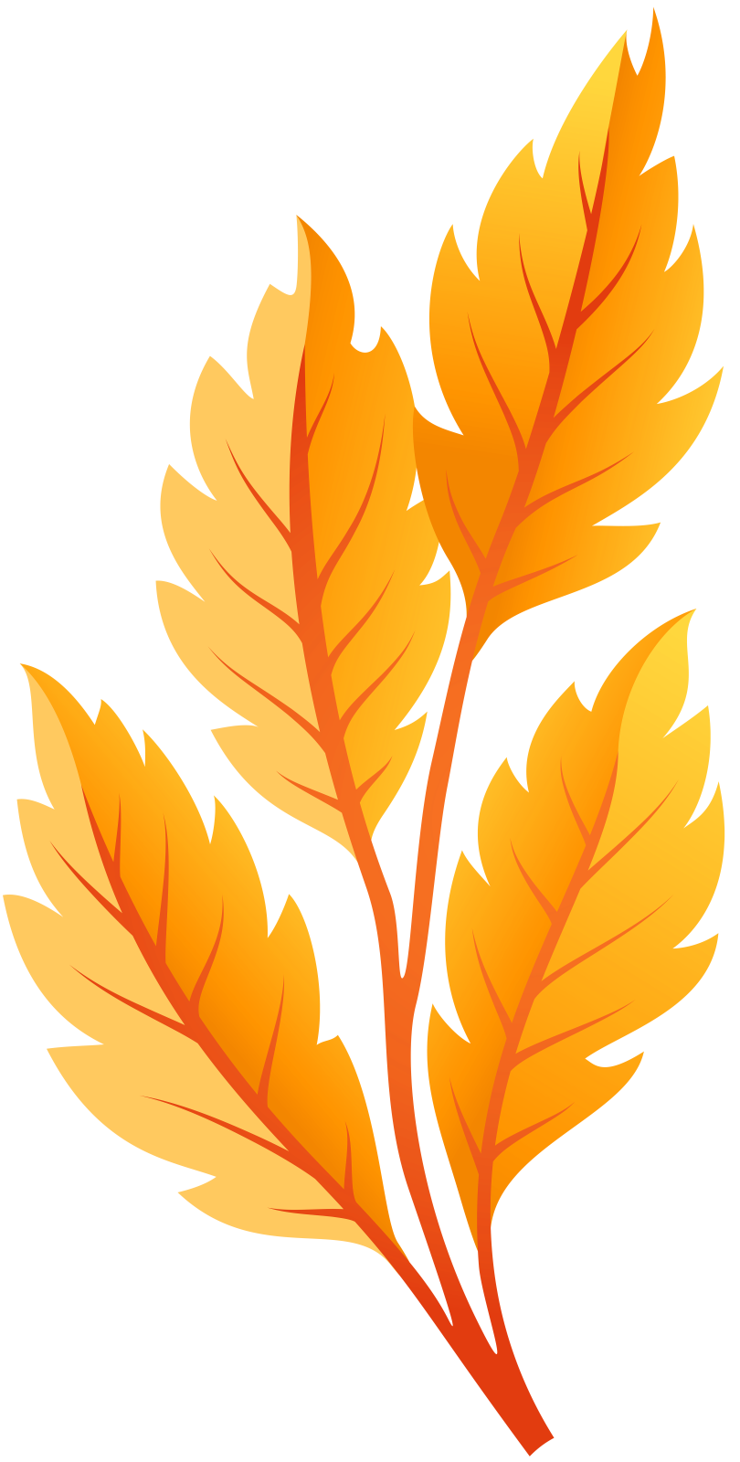 a yellow leaf on a white background
