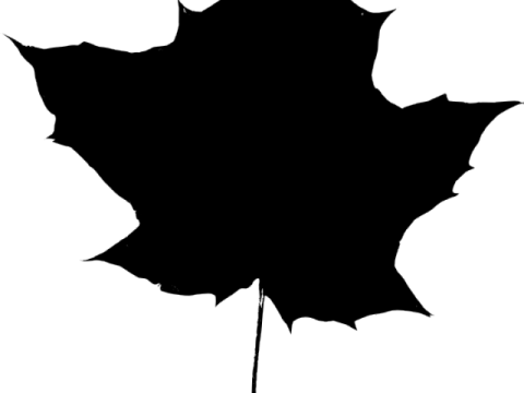 a black and white silhouette of a leaf