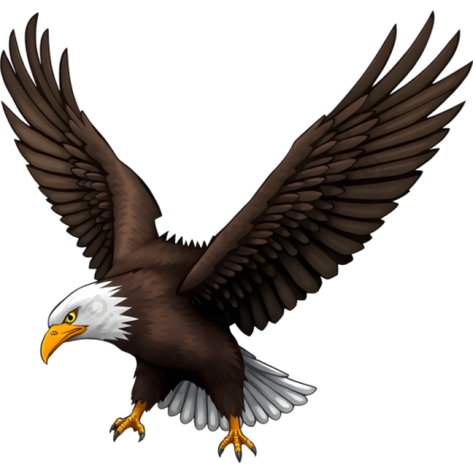 an eagle flying with its wings spread