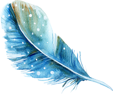 a watercolor painting of a feather