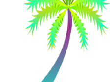 a palm tree with green leaves