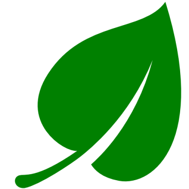 a green leaf with a white background