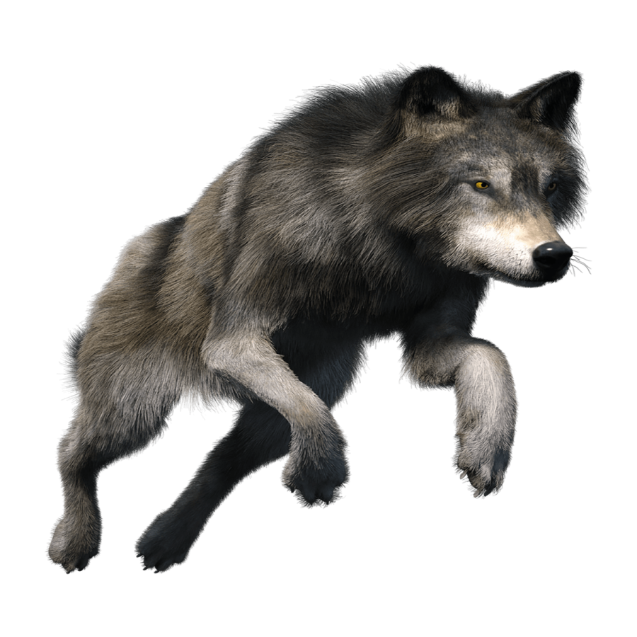 a 3d rendering of a wolf running