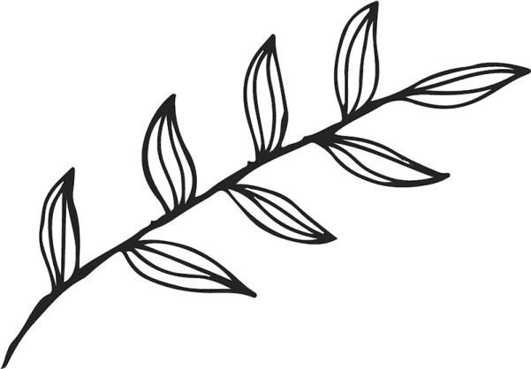a black and white drawing of a leaf