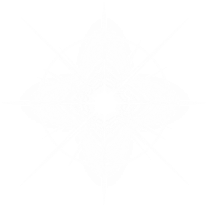 a white background with a black and white pattern