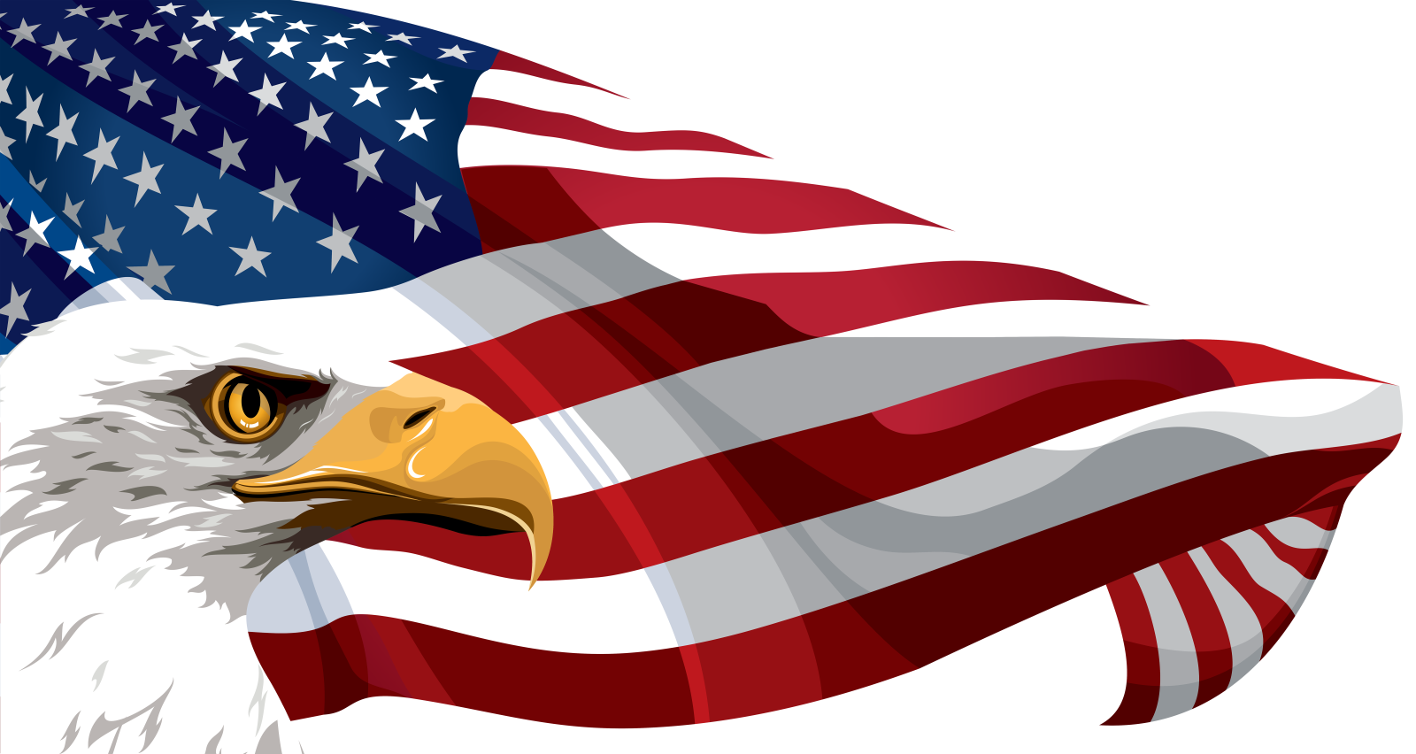 an eagle with the american flag in its beak