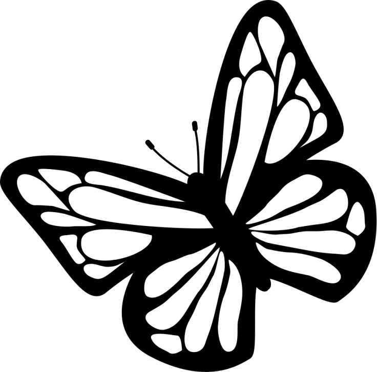 a black and white butterfly