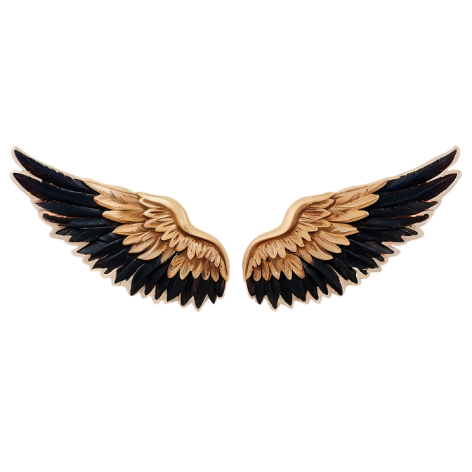 a pair of wings on a white background