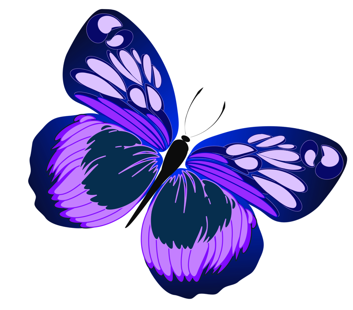 a purple butterfly on a white background