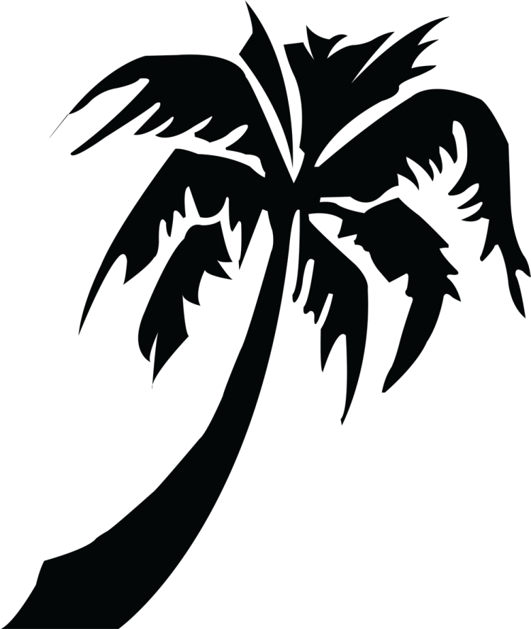 a black and white silhouette of a palm tree