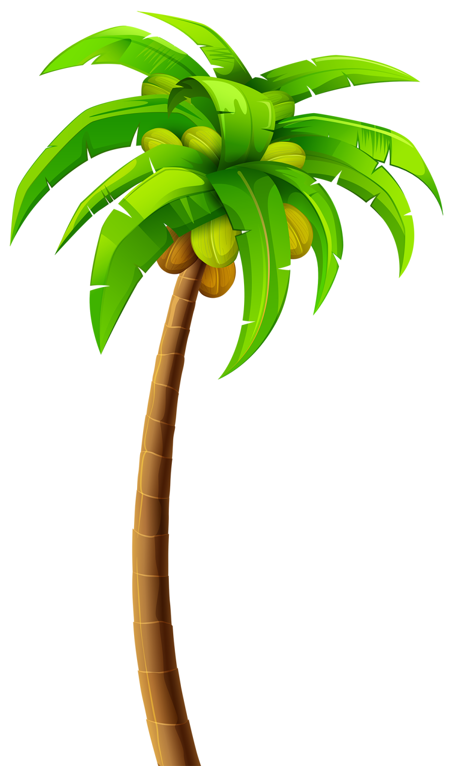 a palm tree on a white background