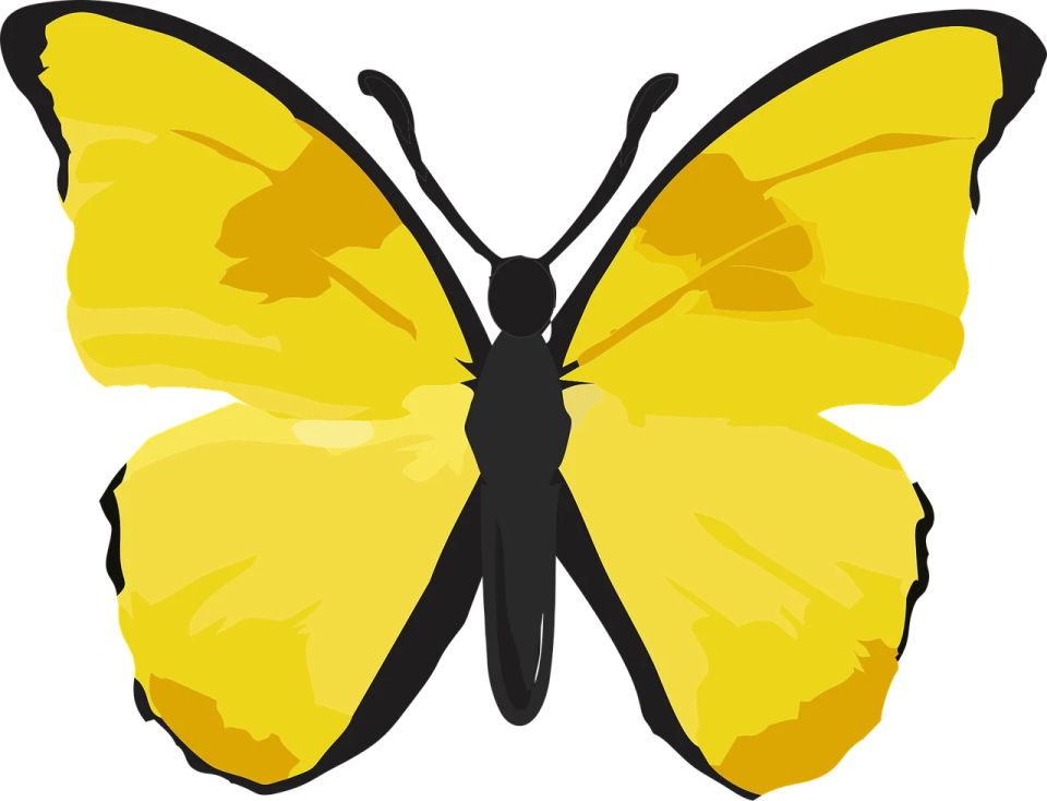 a yellow butterfly on a white background