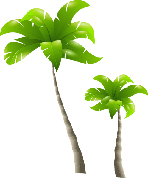 two palm trees with green leaves