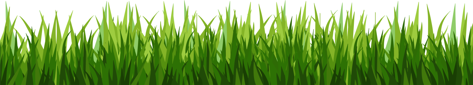 green grass on white background