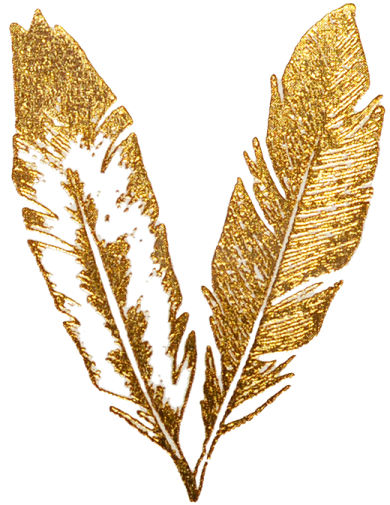 a gold feather on a white background