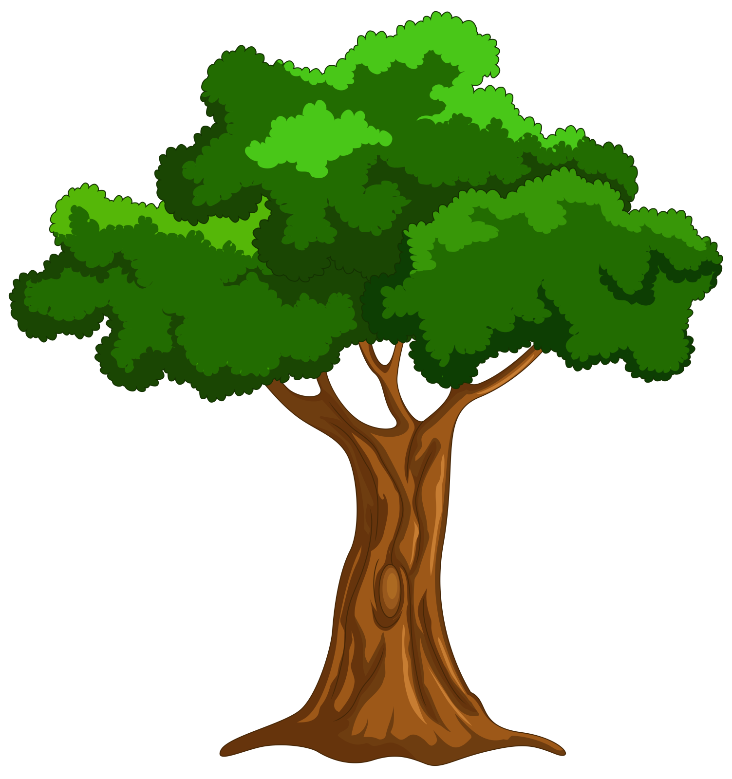 a cartoon tree with green leaves
