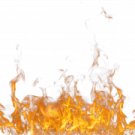 fire on a white background
