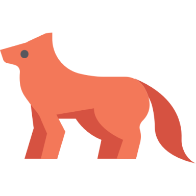 an orange fox standing on a white background