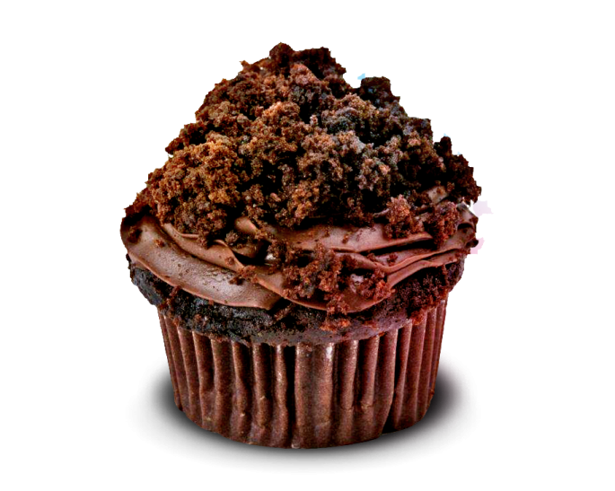 a cupcake with chocolate frosting on top
