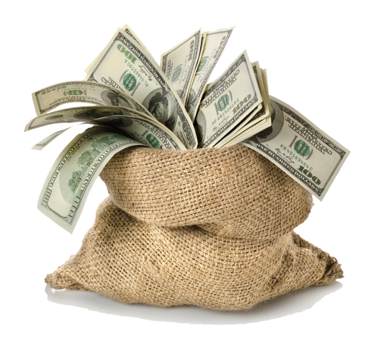 a bag full of money