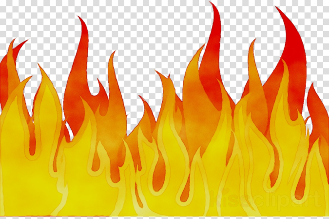 a fire flame on a transparent background