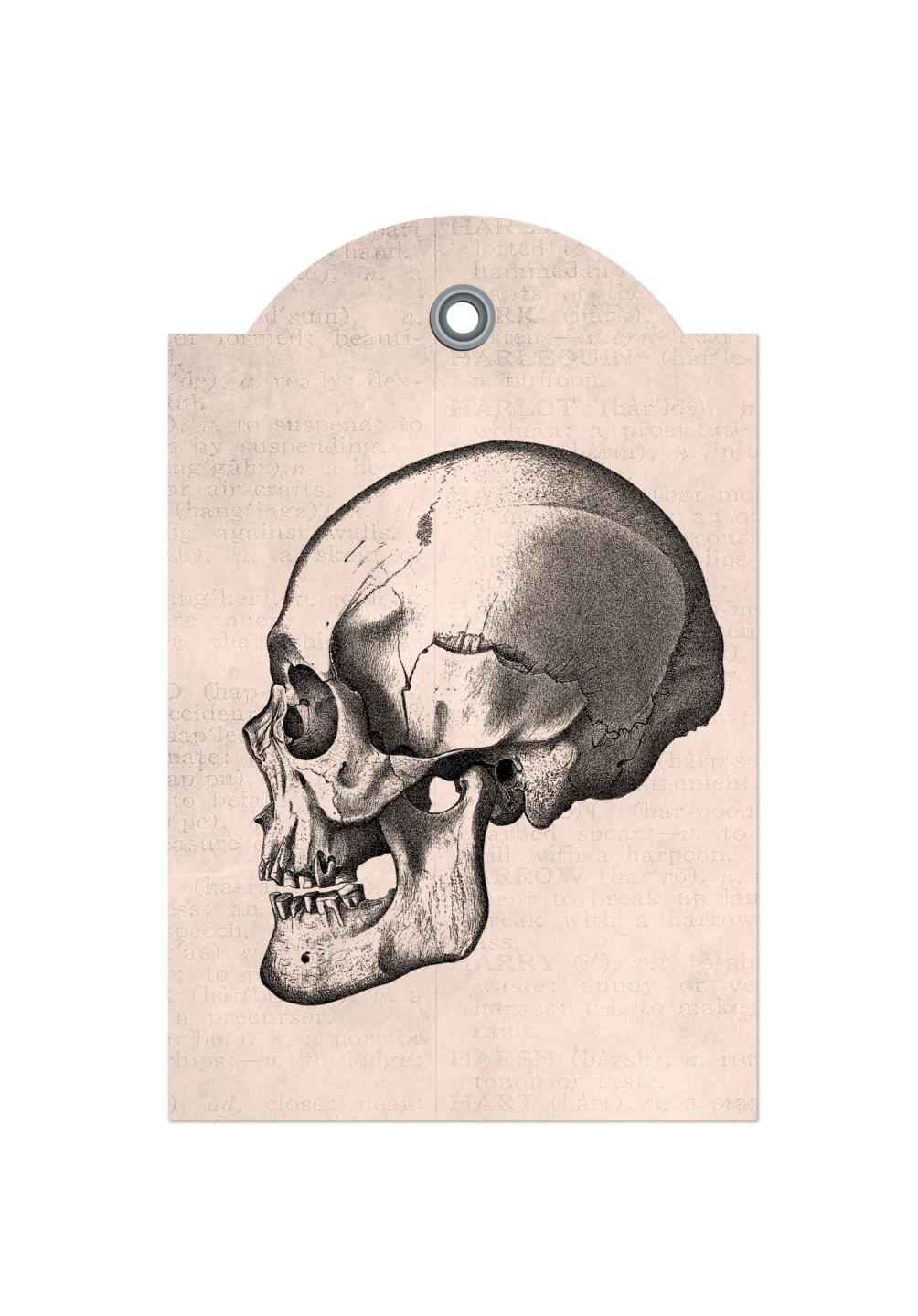 a black and white drawing of a skull