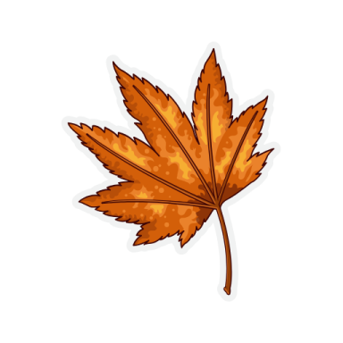 a cartoon maple leaf on white background