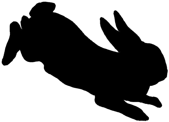 a silhouette of a rabbit