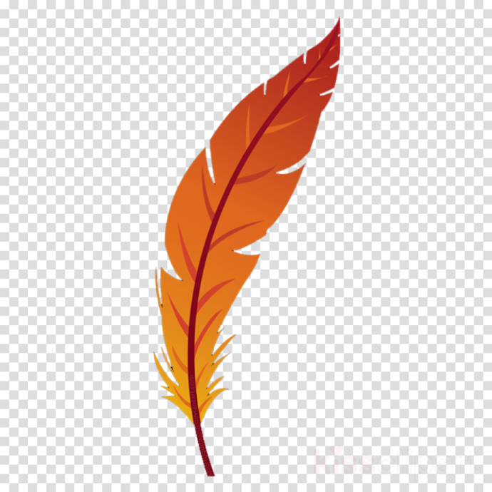 an orange feather on a transparent background