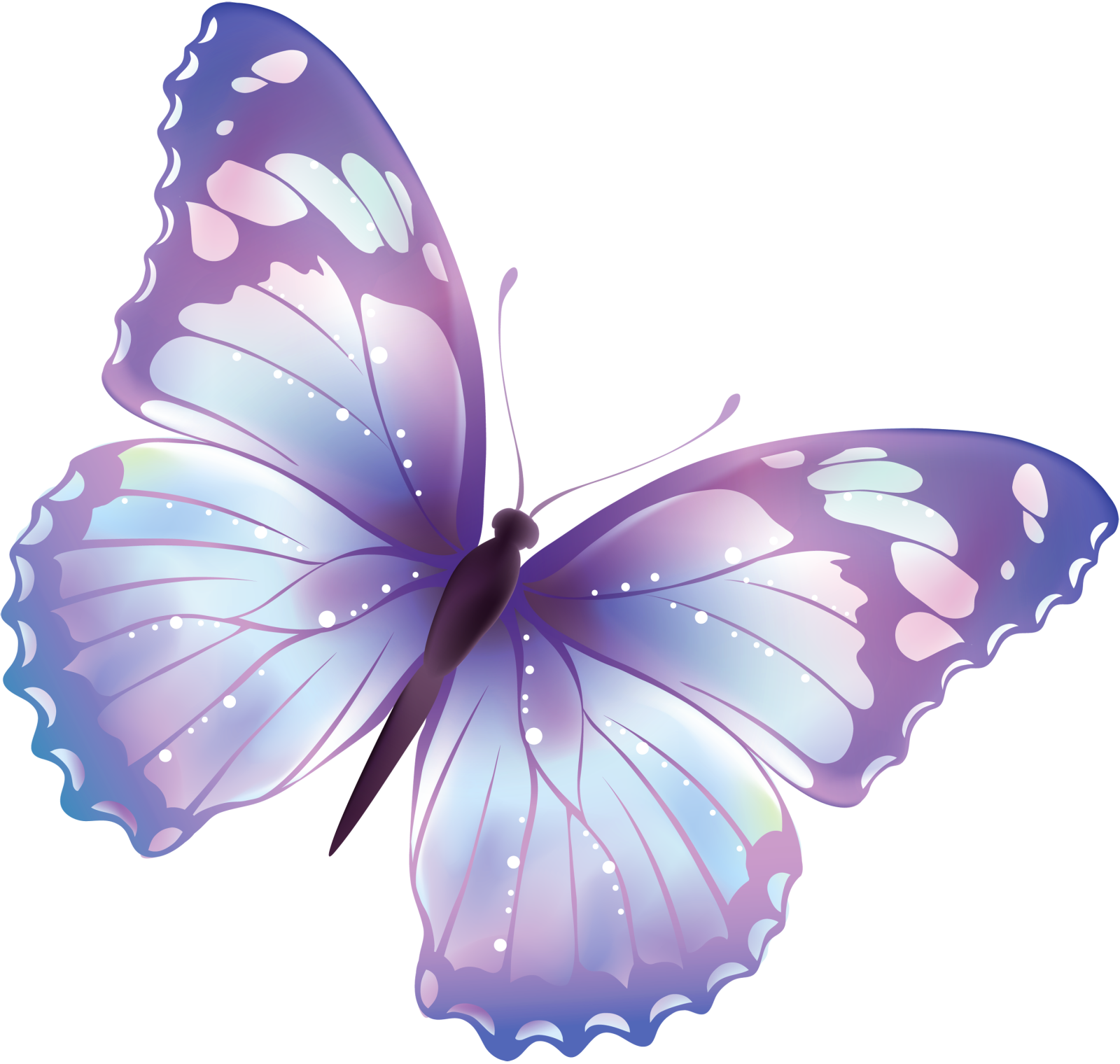 a purple butterfly on a white background