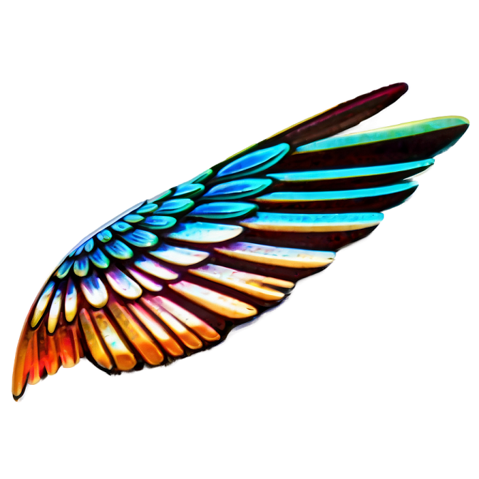 a colorful wing on a white background