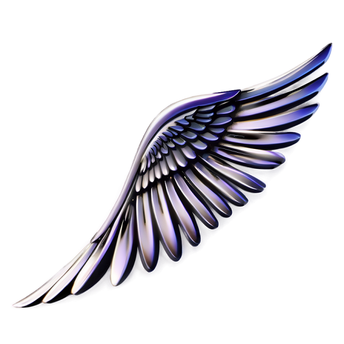 a black and white wing on a white background