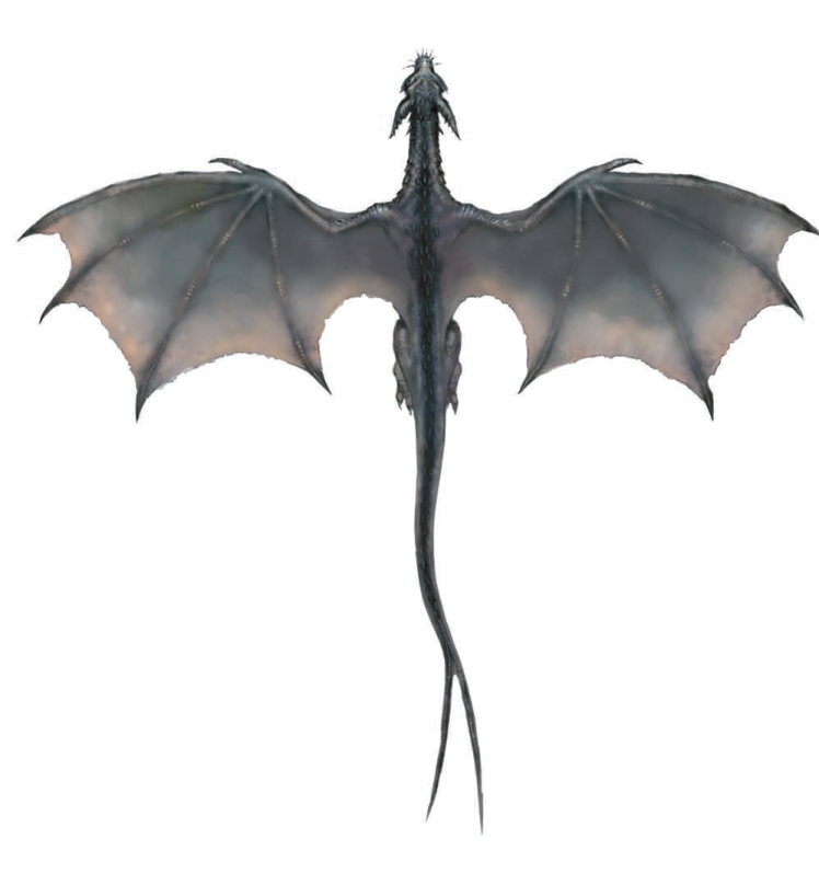 a black dragon flying in the sky