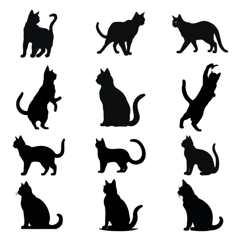 a set of cats silhouettes