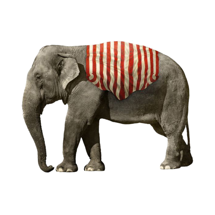 an elephant wearing a red and white striped shirt