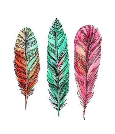 three colorful feathers on a white background