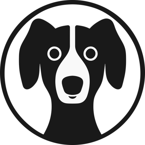 a black and white dog in a circle