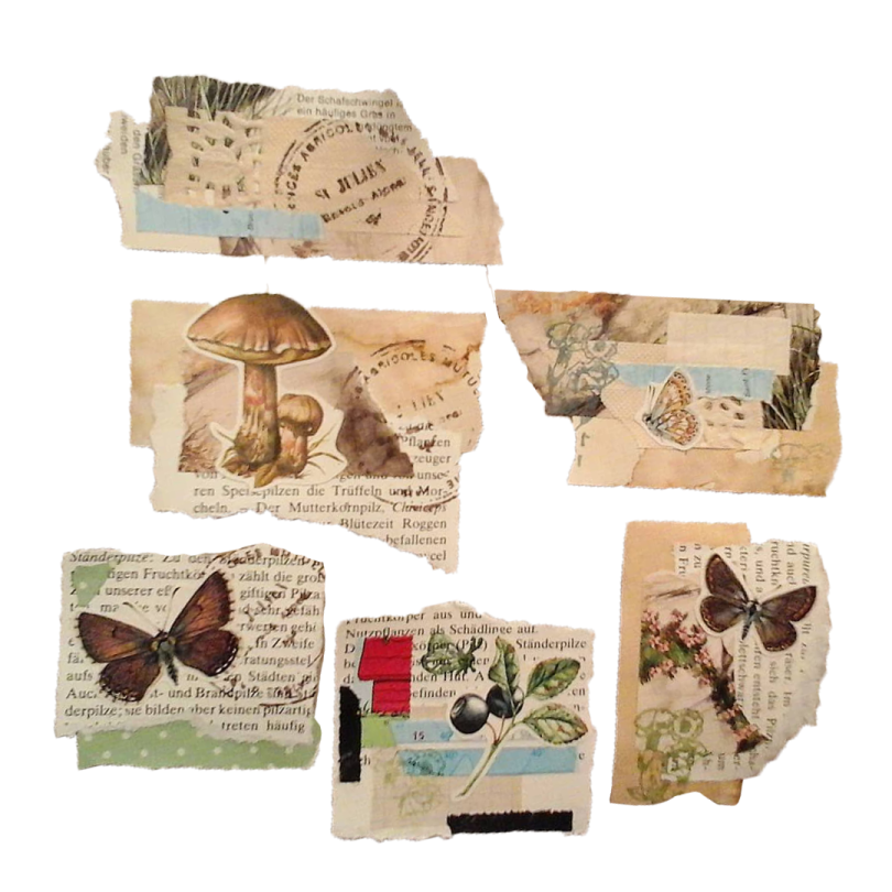a set of four vintage postcards with butterflies and flowers