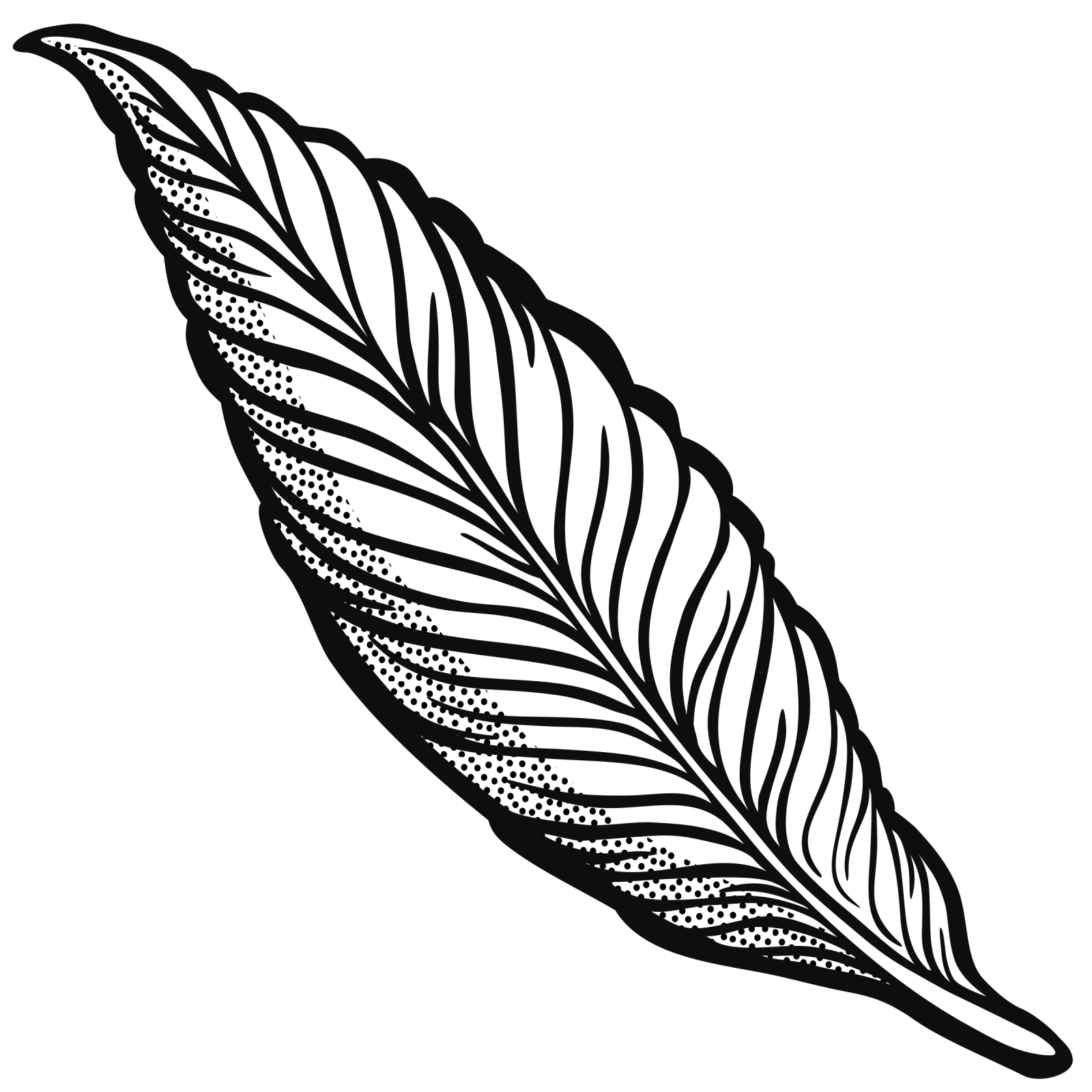 a black and white drawing of a feather