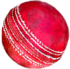 a cricket ball on a white background
