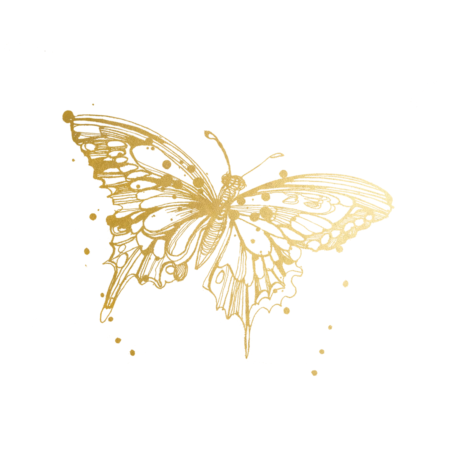 a gold butterfly on a white background