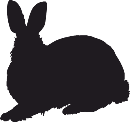 a black silhouette of a rabbit
