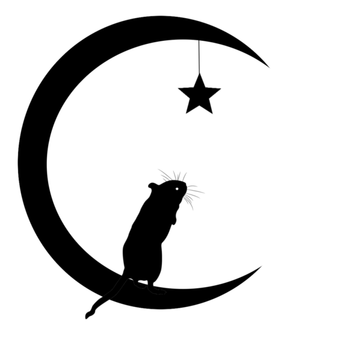 a black and white silhouette of a cat sitting on the moon