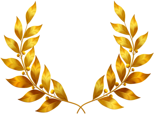 a gold laurel wreath on white background