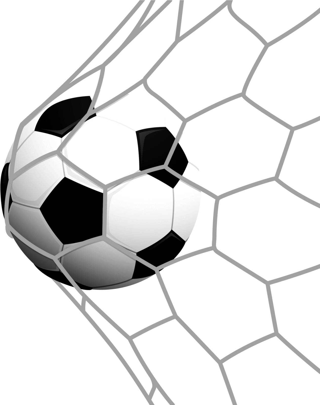 a soccer ball is coming out of the net
