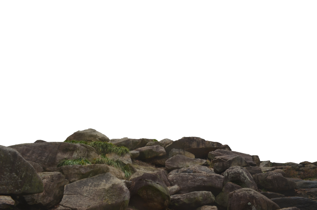 rocks on the ground
