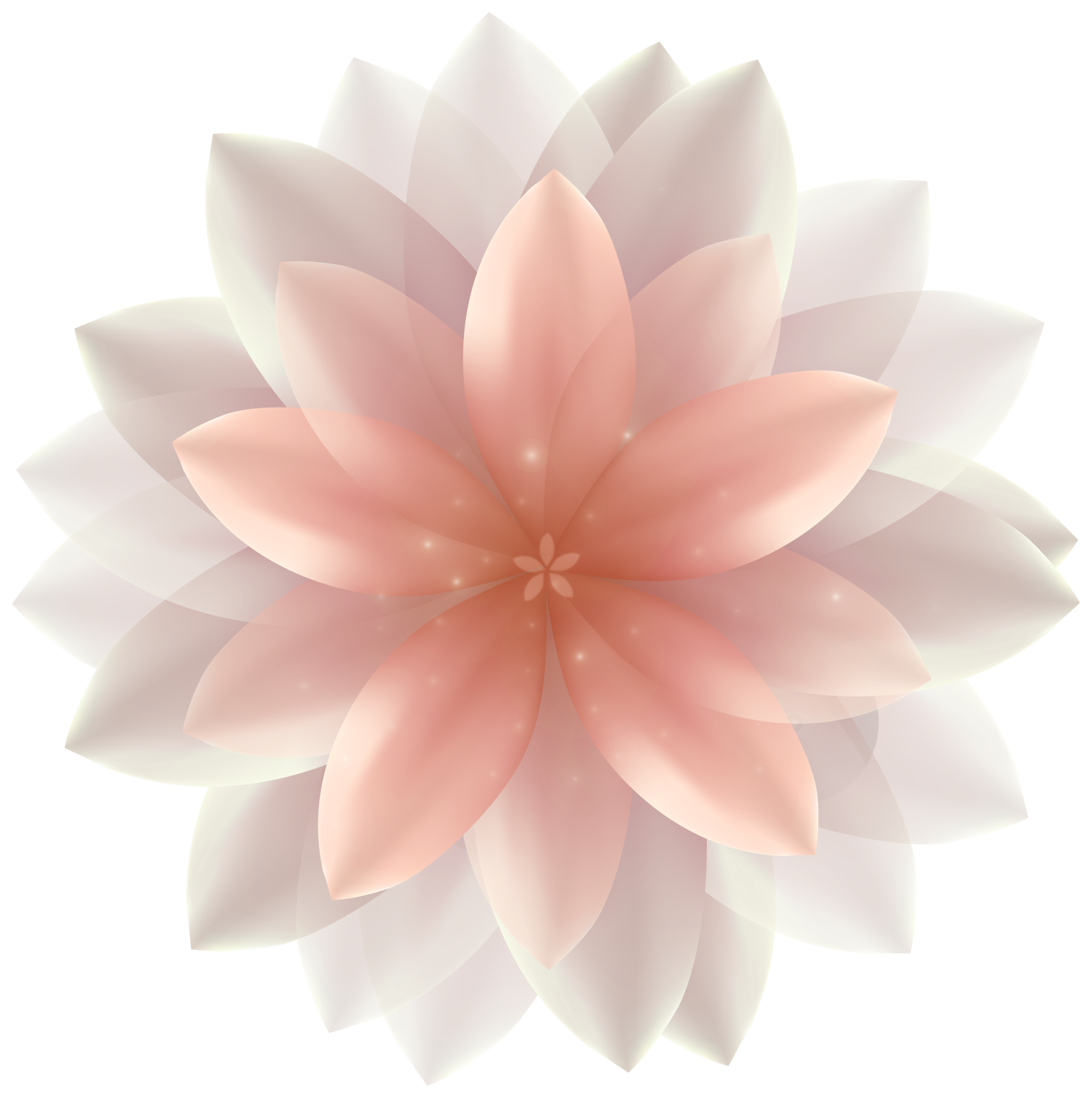 a pink flower on a white background