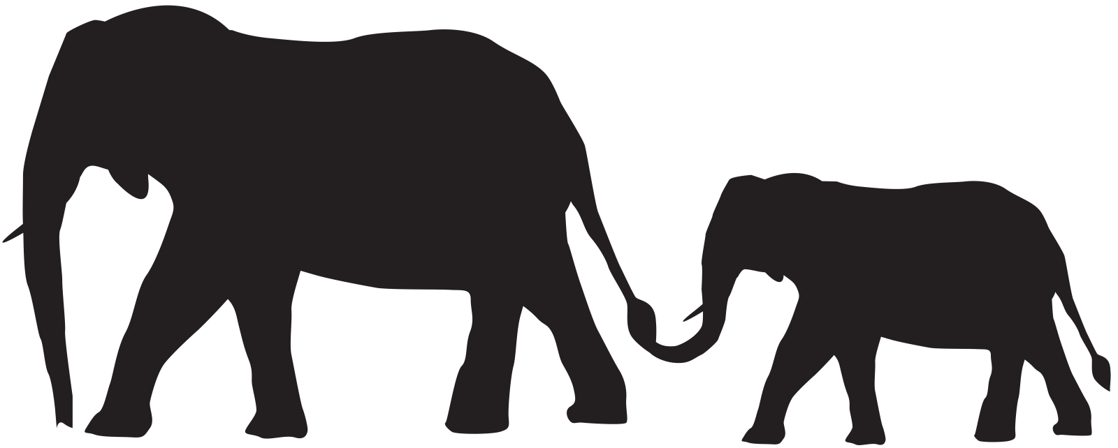 an elephant and her baby walking together