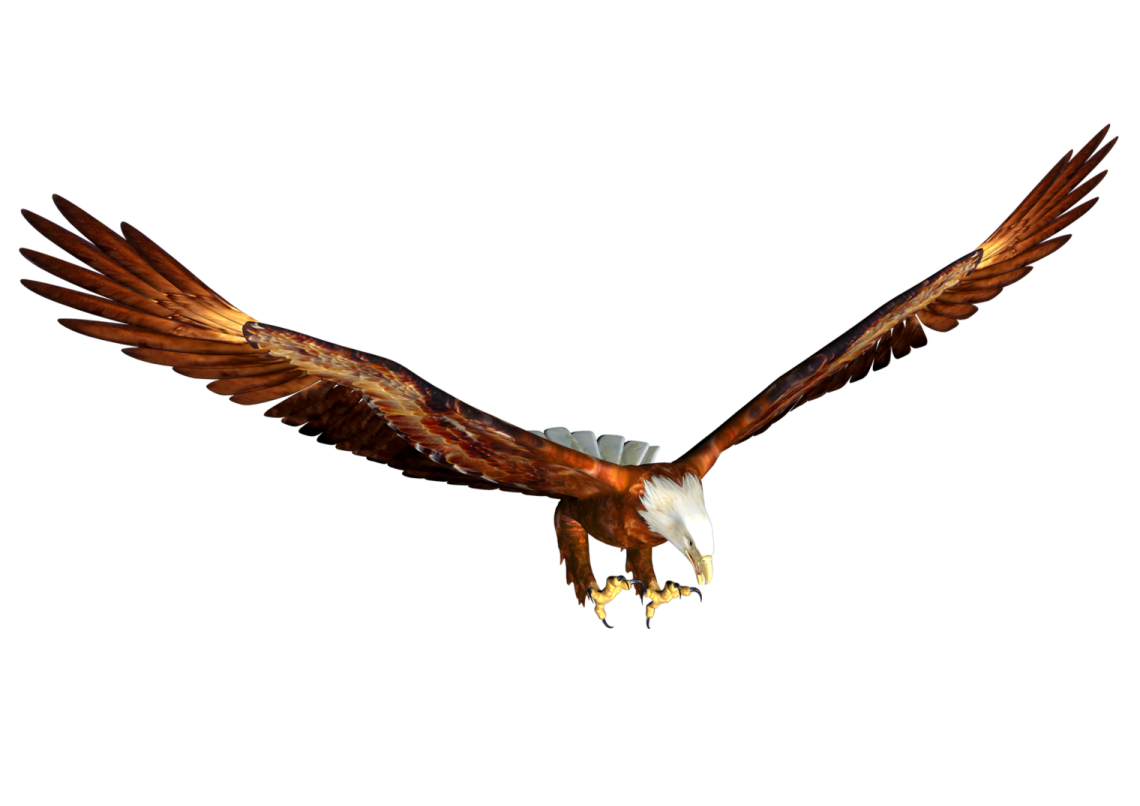 an eagle flying in the air with its wings spread